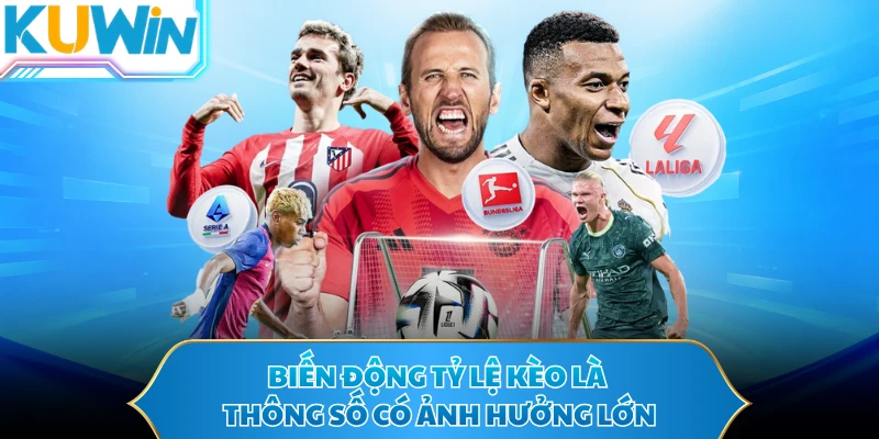 Biến động tỷ lệ kèo là thông số có ảnh hưởng lớn