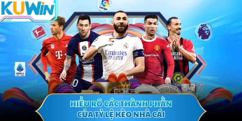 Hiểu rõ các thành phần của tỷ lệ kèo nhà cái